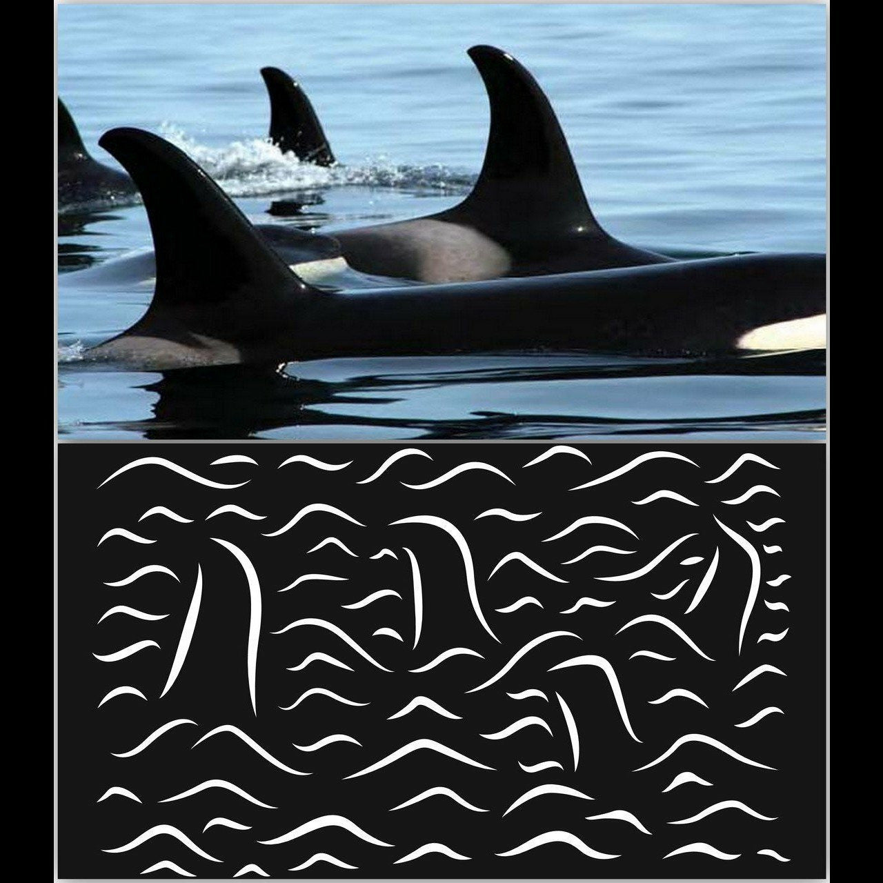 Orca Pod