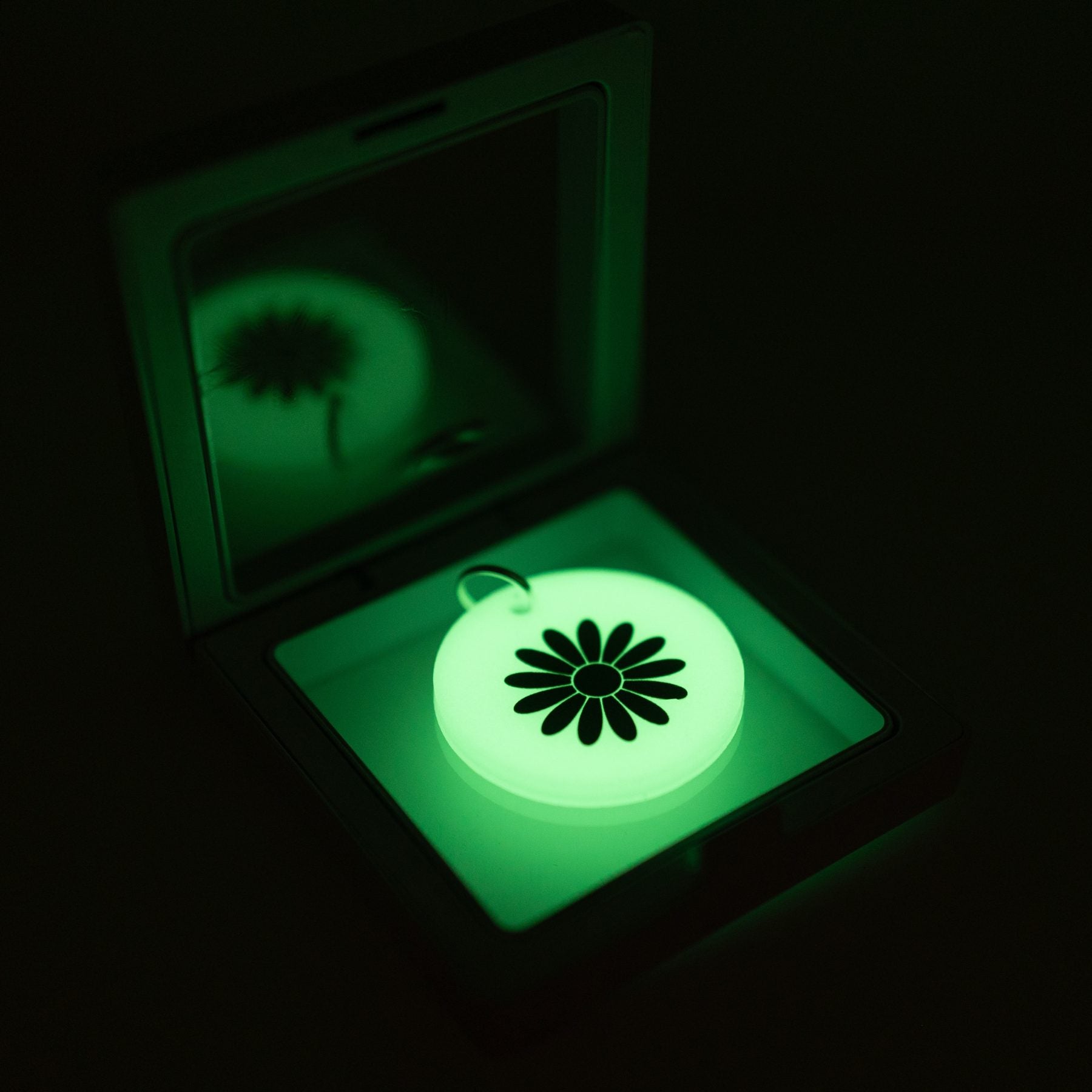 Glow in the Dark Keychains FREE SHIPPING