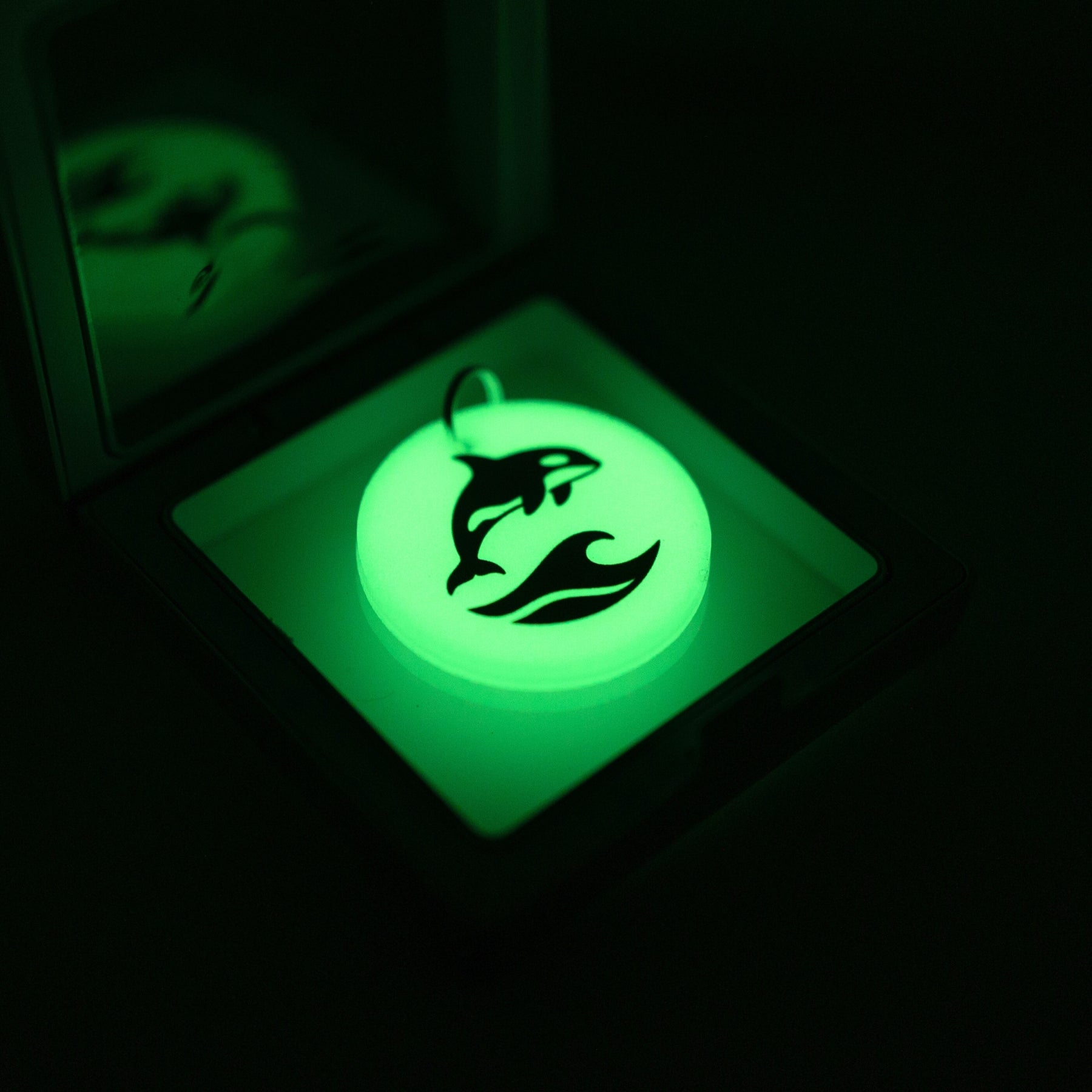 Glow in the Dark Keychains FREE SHIPPING