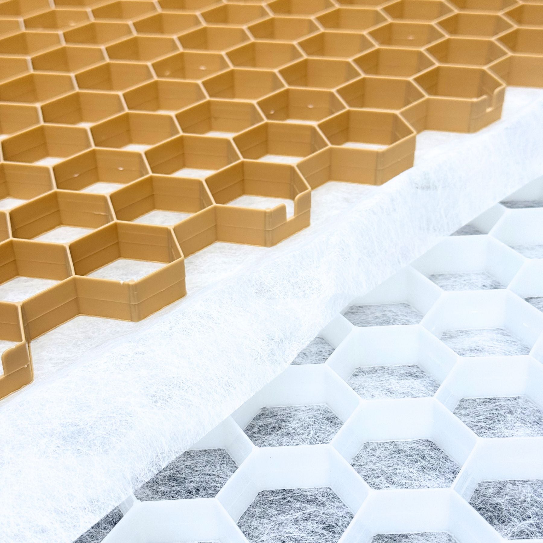 CORE Path | FREE SHIPPING